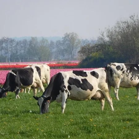Vakantiehuis Weidezicht * Egmond aan den Hoef
